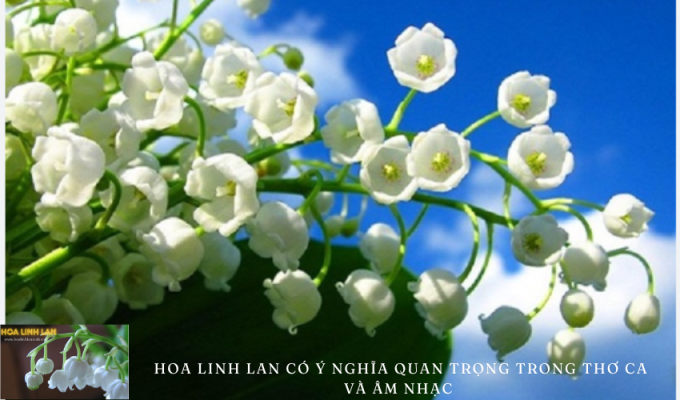 Lily of the valley has important significance in poetry and music.