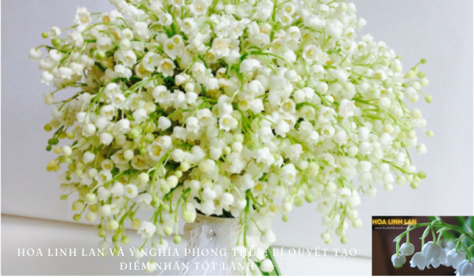 Lily of the Valley and Feng Shui Meaning: The Secret to Creating Auspicious Accents