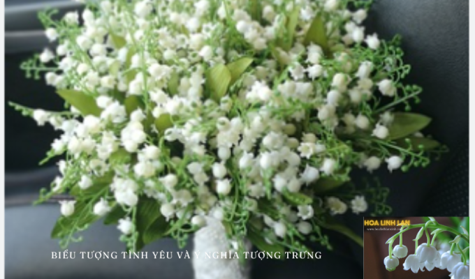 Lily of the Valley – Symbol of Love and Symbolic Meaning